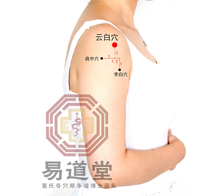 云白穴_四四部位(后臂部)_2018年第五届董氏奇穴针灸