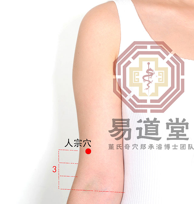 人宗穴_四四部位(后臂部)_2018年第五届董氏奇穴针灸国际论坛 第三届