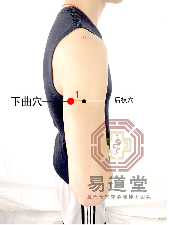 四四部位后臂部
