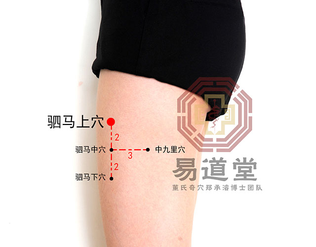 驷马上穴