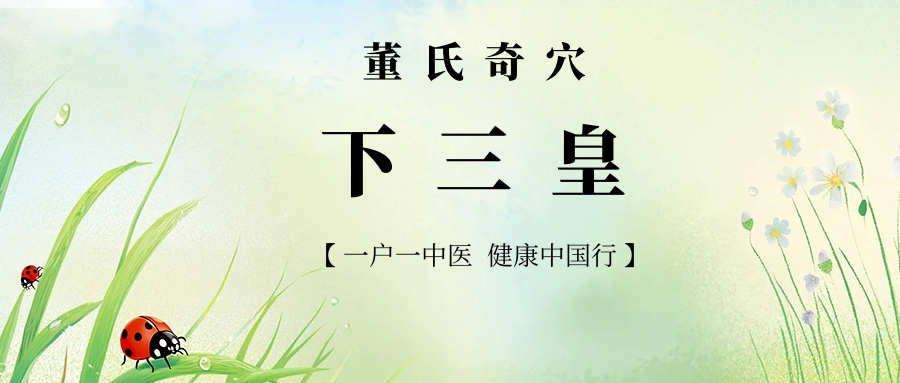 深度解析董氏奇穴“下三皇”的应用