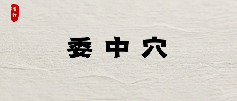 腰酸背痛、湿热体质、腿部水肿？看看委中穴
