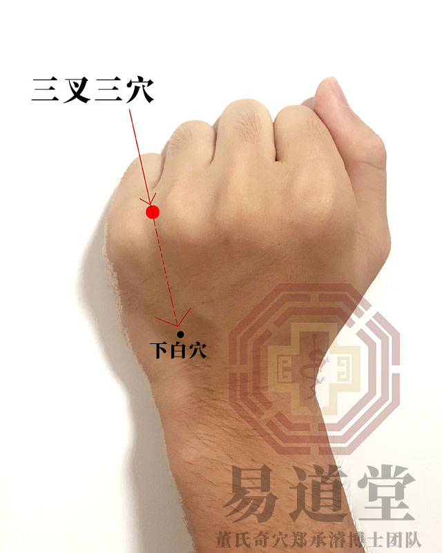 三叉三穴