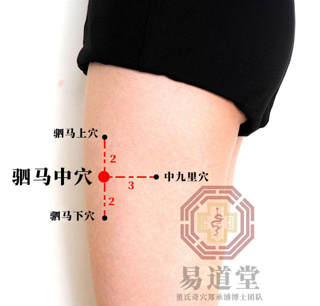 驷马中穴