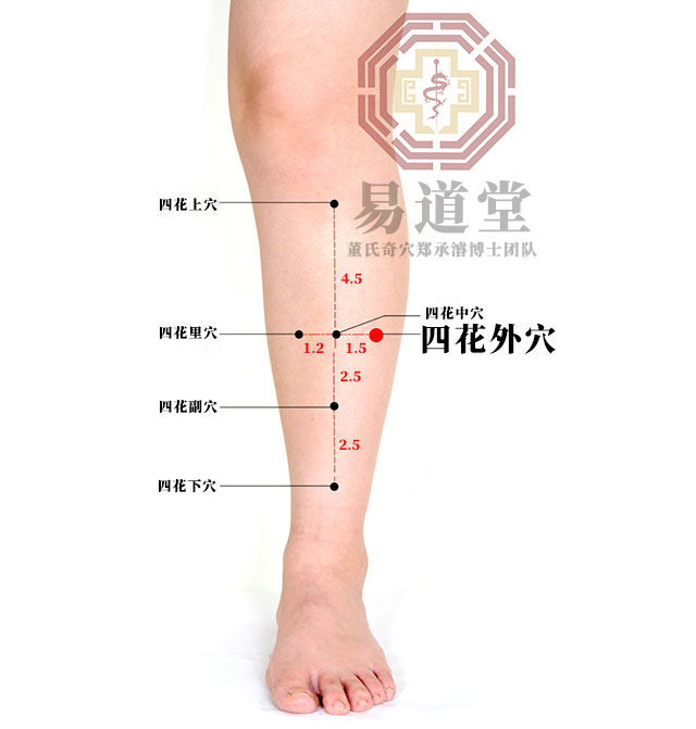 四花外穴