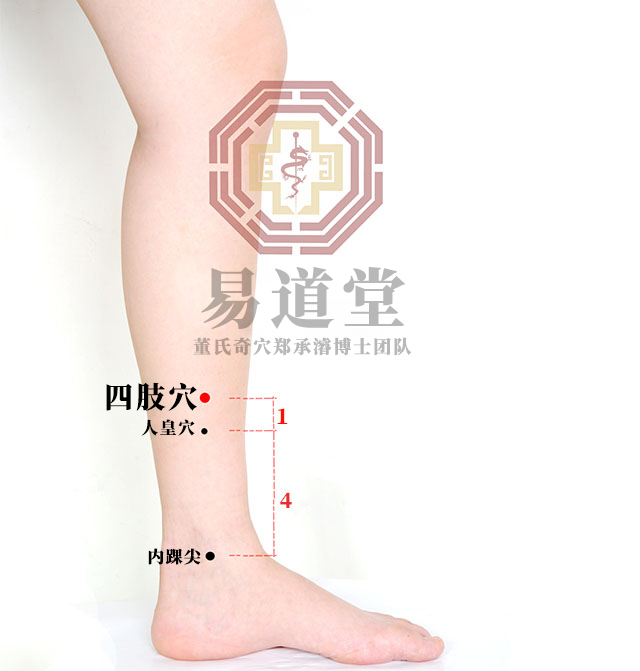 四肢穴