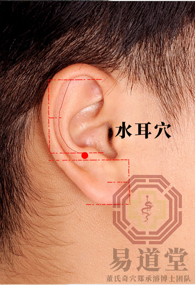 水耳穴