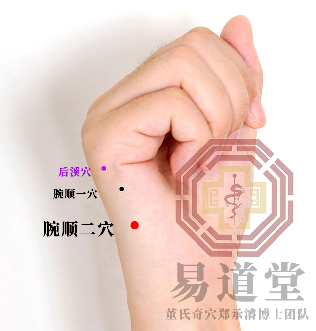 腕顺二穴
