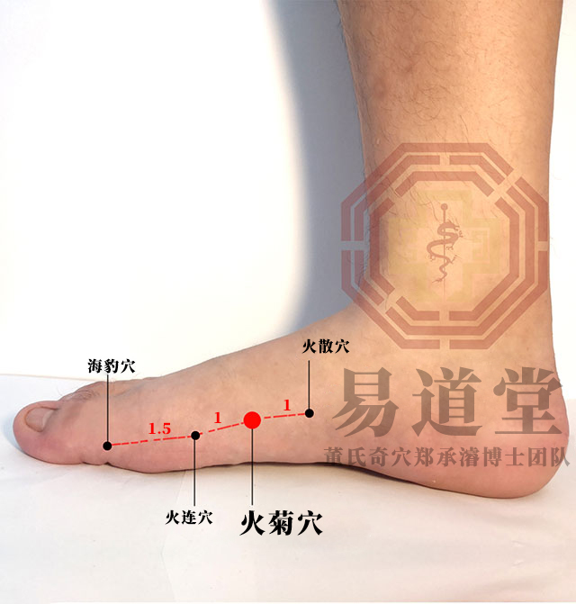 火菊穴