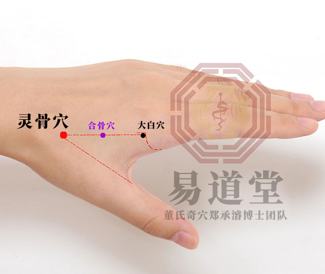 灵骨穴
