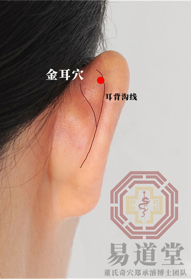 金耳穴