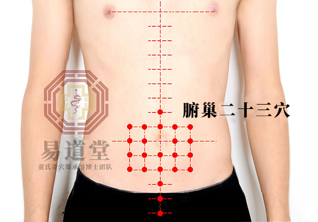 腑巢二十三穴
