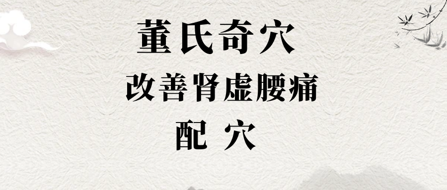 董氏奇穴---改善“肾虚腰痛”的配穴
