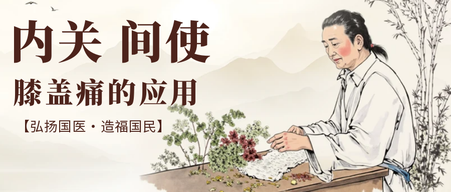 内关穴与间使穴在改善膝盖痛中的独特应用